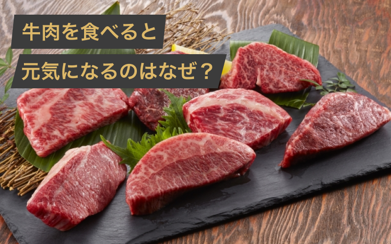 牛肉を食べると元気になるのはなぜ?疲労回復で健康的な食材を解説