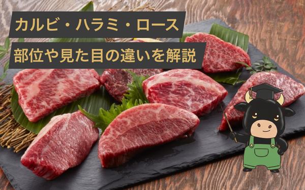 カルビとハラミとロースの違いとは?見た目の見分け方や焼肉で人気の理由まで肉屋のプロが解説