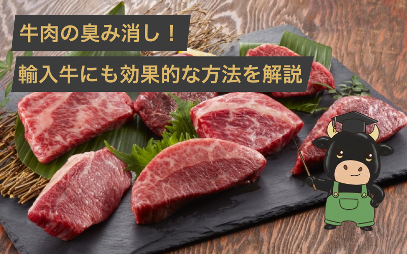 牛肉の臭み消しの簡単な方法!輸入牛にも効果的な酒や牛乳での取り方を徹底解説