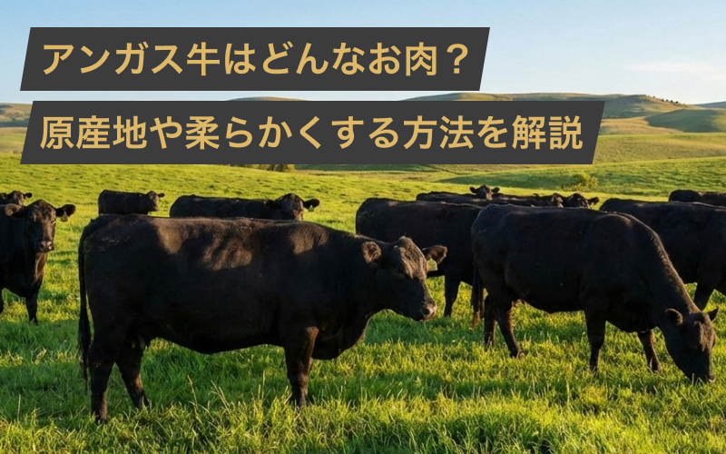 アンガス牛とはどんなお肉?原産地やステーキを柔らかくする方法をプロの肉屋が解説