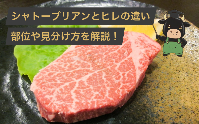シャトーブリアンとヒレの違いとは?見分け方や焼き方を肉屋のプロが徹底解説!