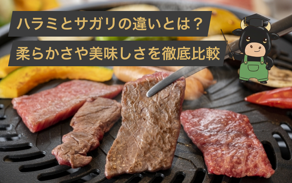 ハラミとサガリの違いとは?柔らかさや美味しさを肉屋のプロが徹底解説!