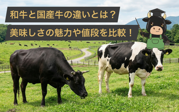 和牛と国産牛の違いとは?味はどちらが美味しいのかや値段の高さを徹底比較!