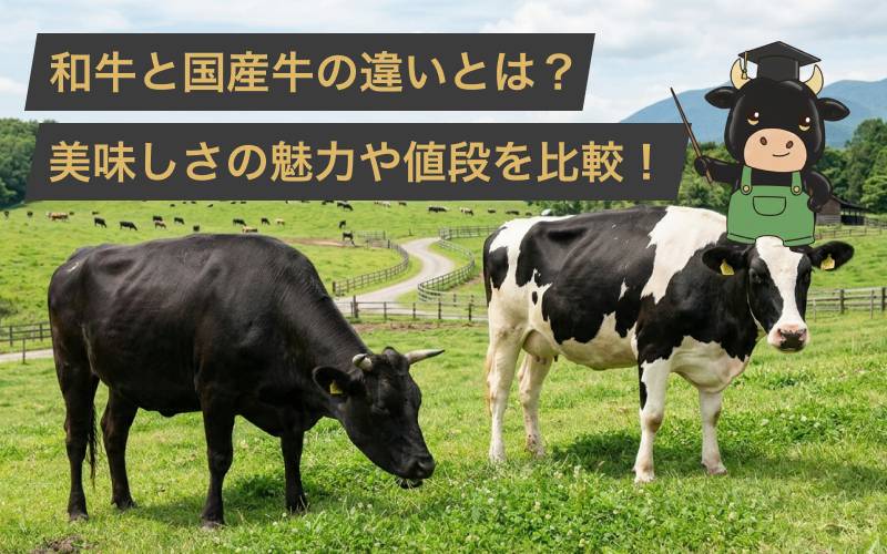 和牛と国産牛の違いとは?味はどちらが美味しいのかや値段の高さを徹底比較!