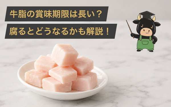 牛脂の賞味期限は長い?冷凍と冷蔵保管から腐るとどうなるかまで肉屋のプロが解説!
