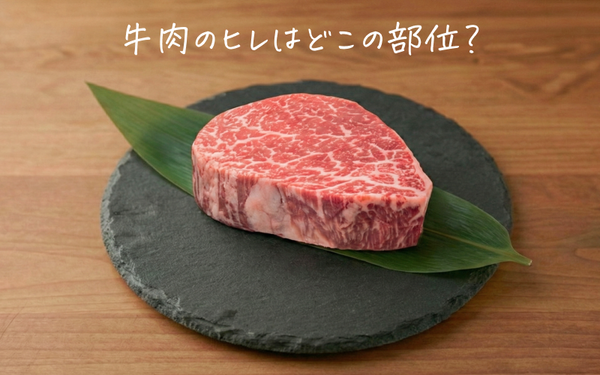 牛肉のヒレ(フィレ)とはどこの部位?特徴・味わい・料理におすすめの選び方をプロが解説