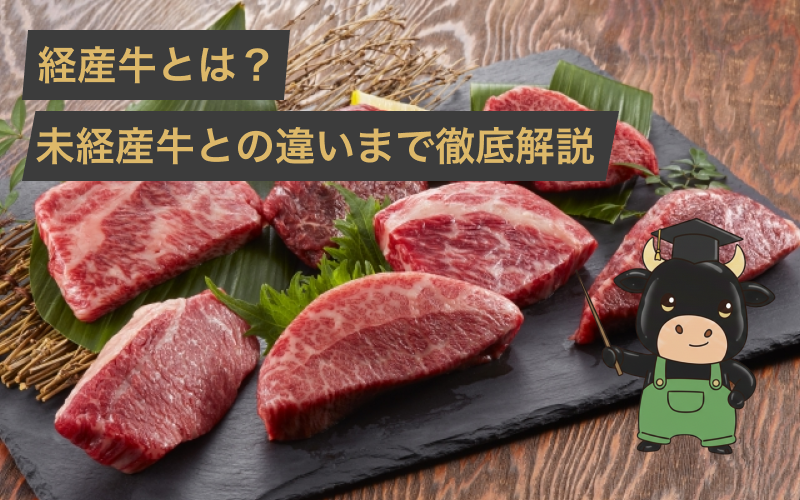 経産牛とはどんなお肉？味がまずいと言われる理由や未経産牛との違いまで徹底解説