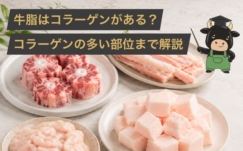 牛脂にはコラーゲンが含まれているの？主な成分やコラーゲンの多い部位まで解説！