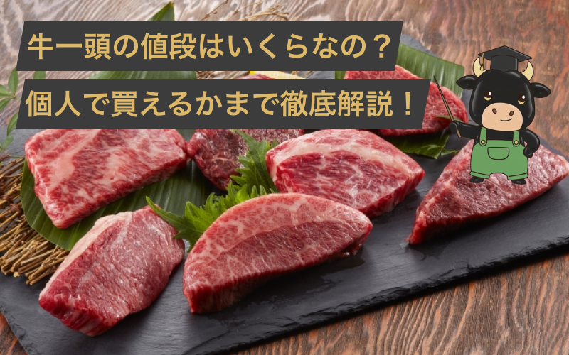 牛一頭はいくら？平均の値段から個人で買えるのかまで畜産農家が解説