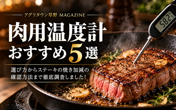 肉用温度計のおすすめ5選｜選び方からステーキの焼き加減の確認方法まで徹底調査しました！