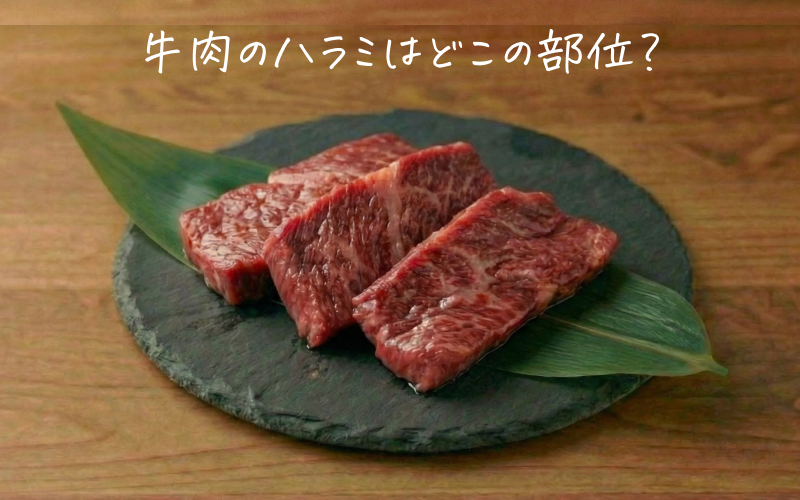 牛肉のハラミとはどこの部位？特徴・味わい・料理におすすめの選び方をプロが解説
