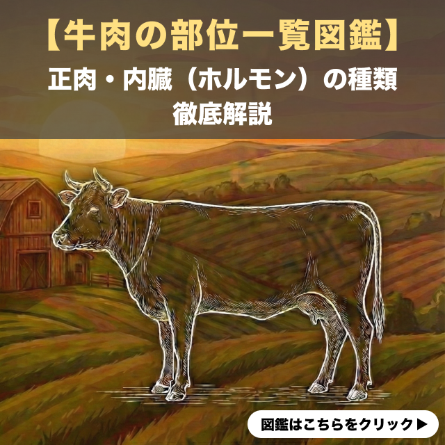 【牛肉の部位一覧図鑑】正肉・内臓（ホルモン）全種類の特徴と場所を徹底解説